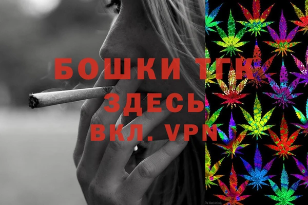 PSILOCYBIN Алзамай