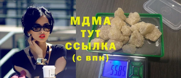 PSILOCYBIN Алзамай